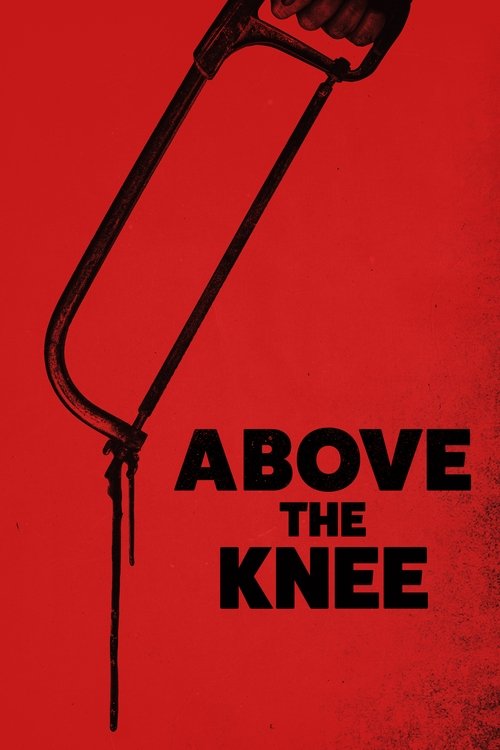 Póster de Over kneet