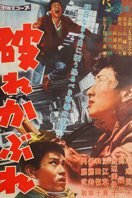 Póster de 破れかぶれ