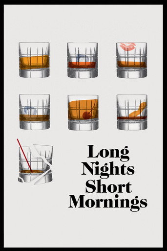 Póster de Long Nights Short Mornings
