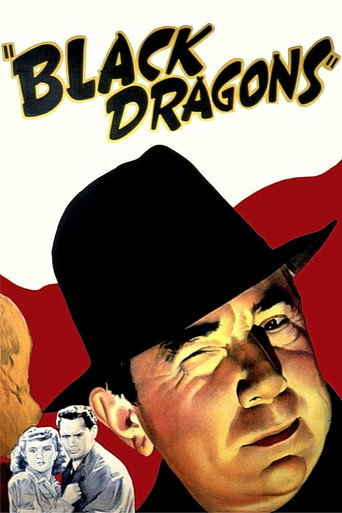 Póster de Black Dragons