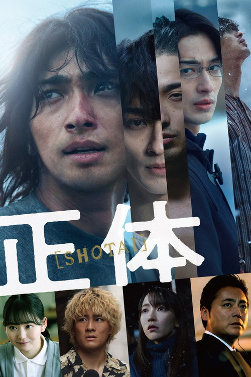 Póster de 正体