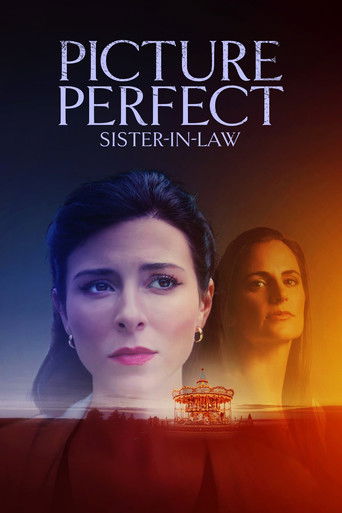 Póster de Picture Perfect Sister-in-Law