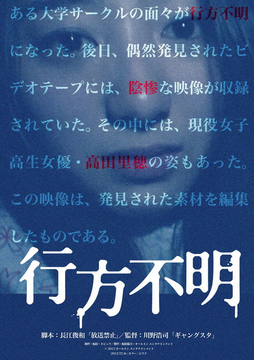 Póster de 行方不明