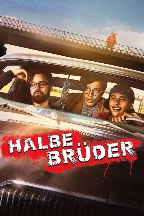 Póster de Halbe Brüder