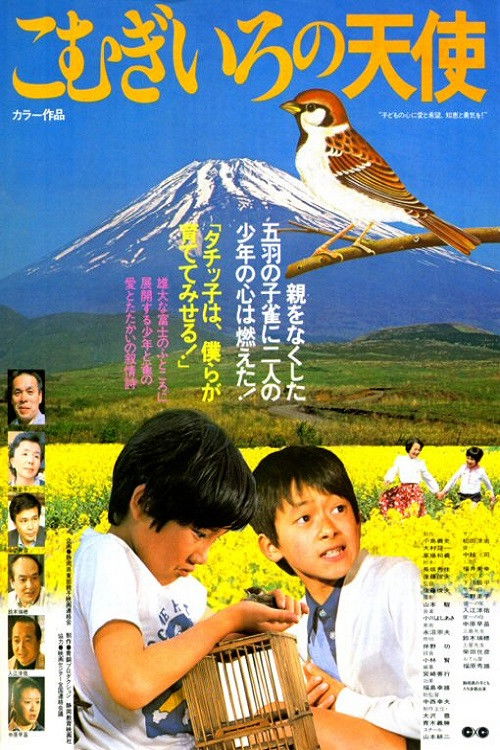 Póster de こむぎいろの天使 雀と少年