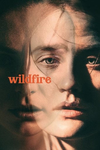 Póster de Wildfire