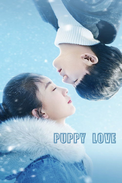 Póster de 小情书