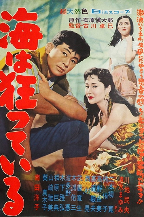 Póster de 海は狂っている