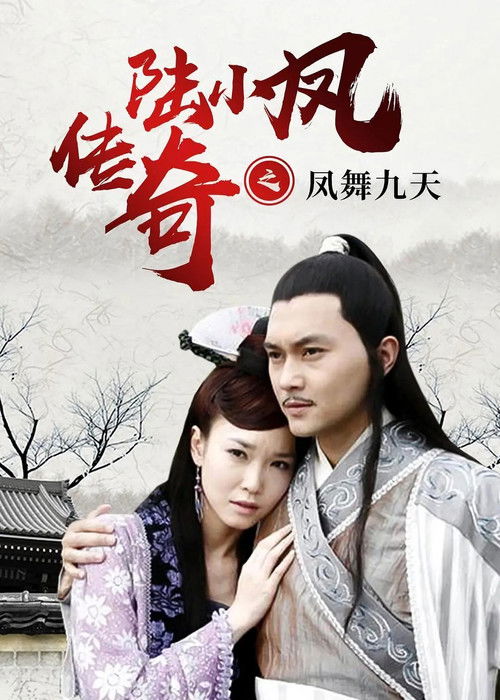 Póster de 陆小凤传奇9：凤舞九天