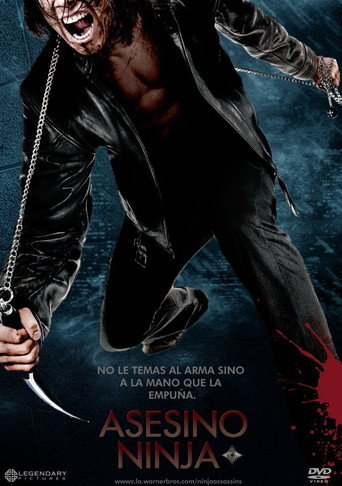 Póster de Ninja Asesino