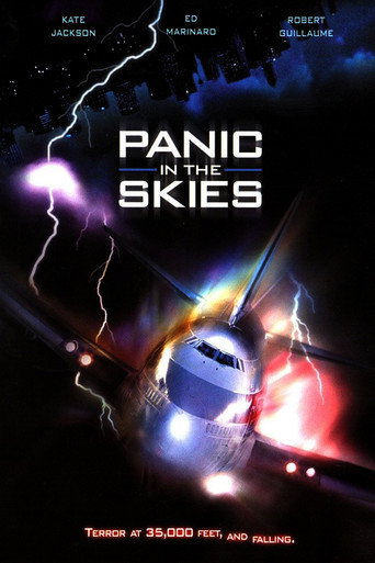 Póster de Panic in the Skies!