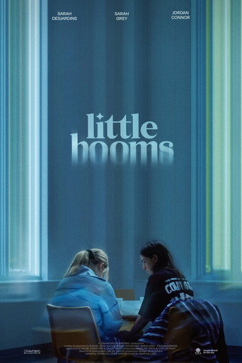 Póster de Little Booms