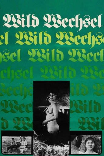 Póster de Wildwechsel
