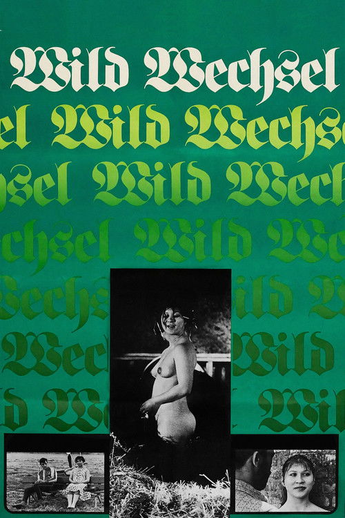 Póster de Wildwechsel