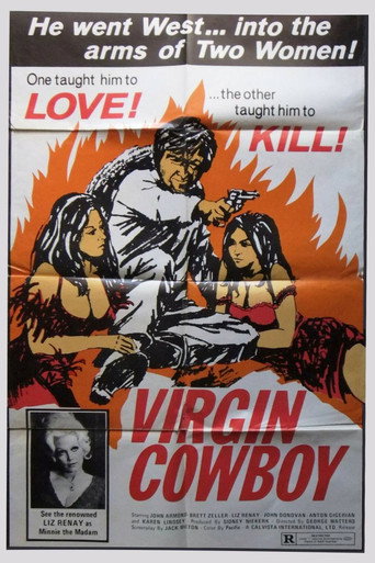 Póster de Virgin Cowboy