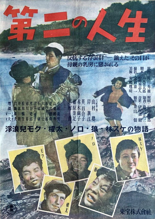 Póster de 第二の人生