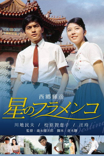 Póster de 星のフラメンコ