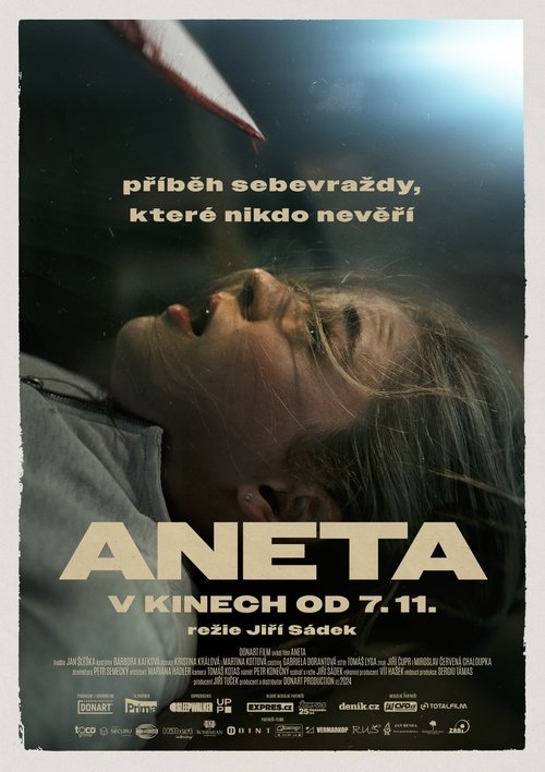 Póster de Aneta