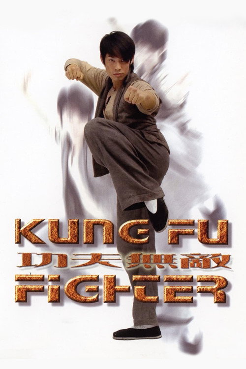 Póster de 功夫無敵