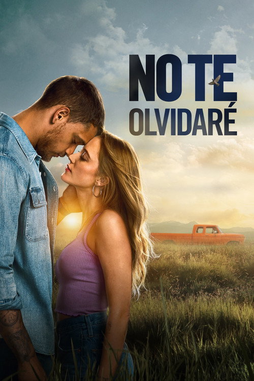 Póster de No te olvidaré