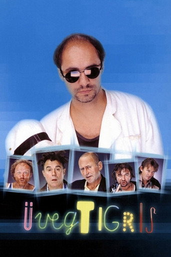 Póster de Üvegtigris
