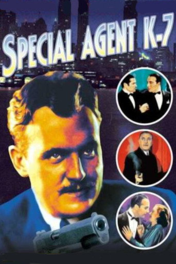 Póster de Special Agent K-7