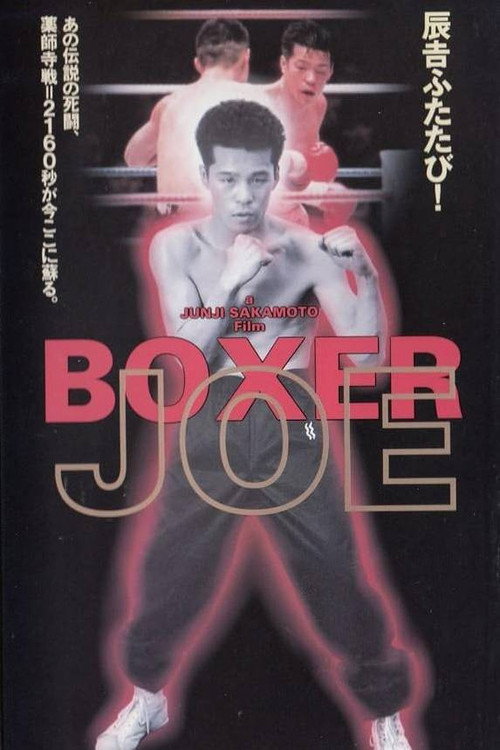 Póster de Boxer Joe