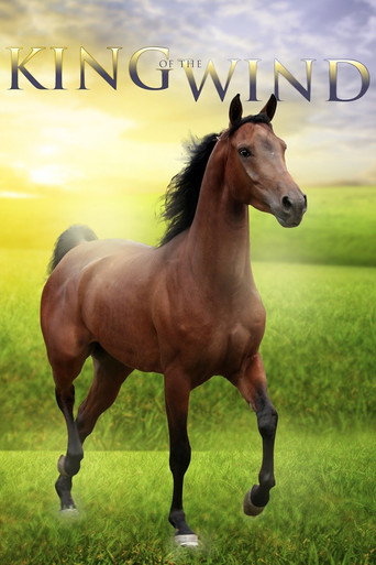 Póster de King of the Wind