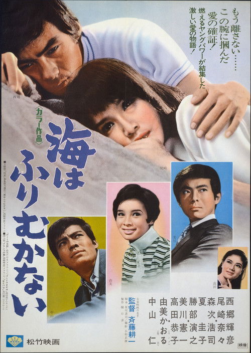 Póster de 海はふりむかない
