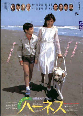 Póster de こんにちはハーネス