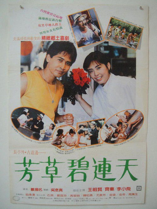 Póster de 芳草碧連天
