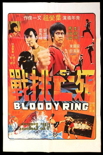 Póster de 死亡挑戰