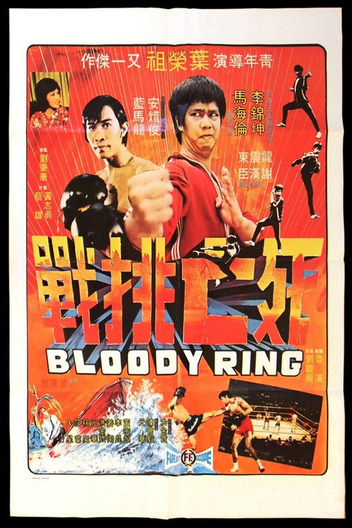 Póster de 死亡挑戰