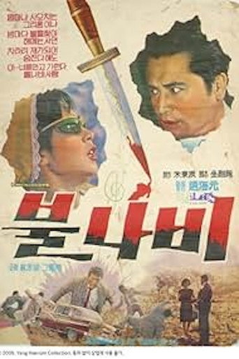Póster de 불나비