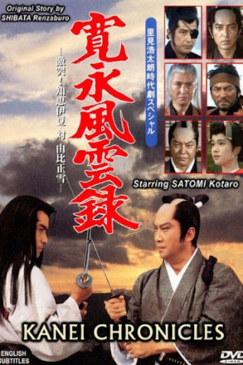 Póster de 寛永風雲録
