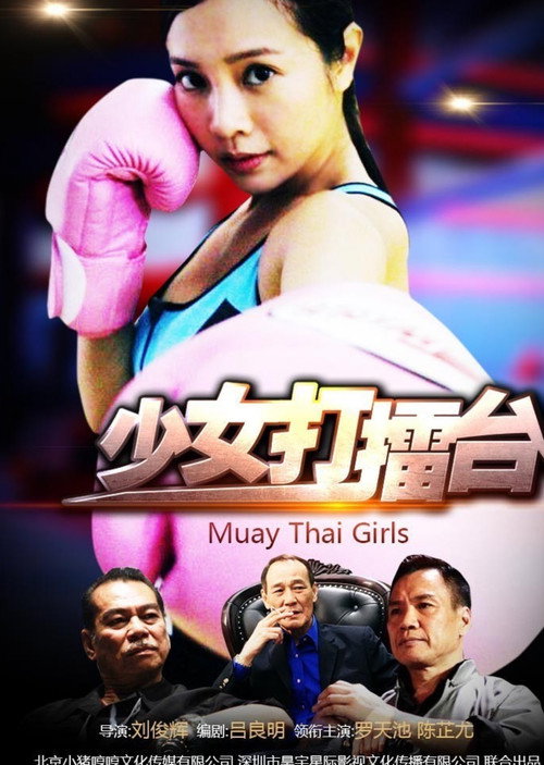 Póster de 少女打擂台