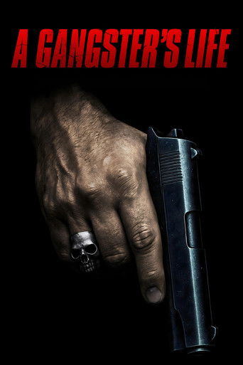 Póster de A Gangster's Life