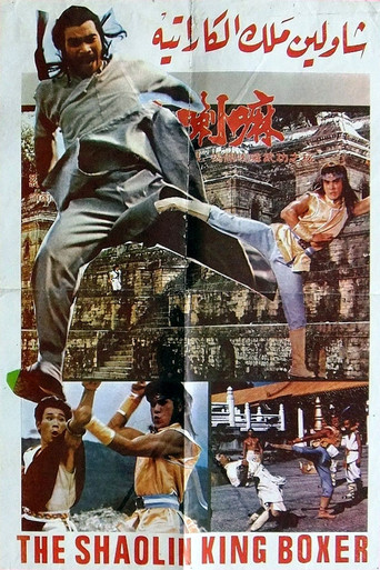 Póster de Iron Fists