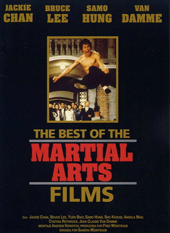 Póster de The Best of the Martial Arts Films