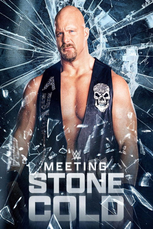 Póster de Meeting Stone Cold