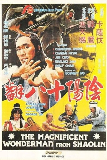 Póster de 陰陽十八翻