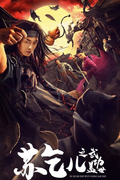 Póster de 苏乞儿之武功盖世