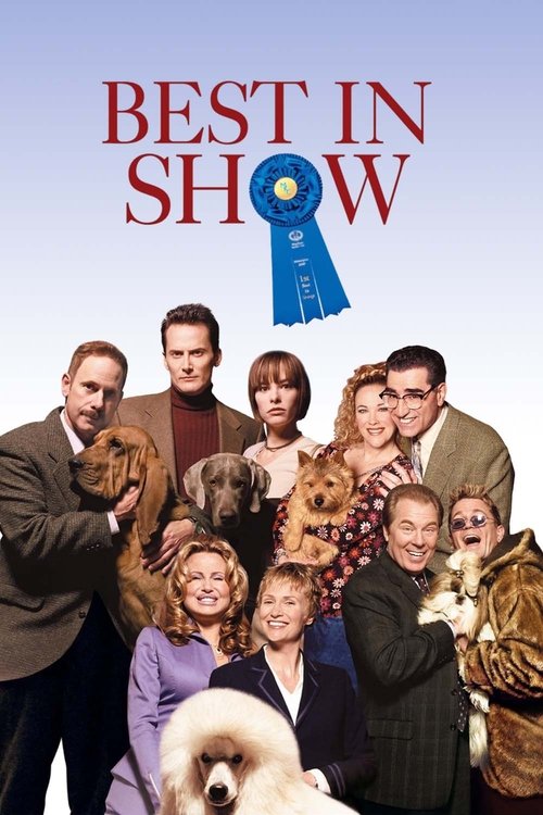 Póster de El perro ganador