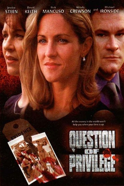 Póster de Question of Privilege