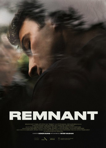 Póster de Remnant