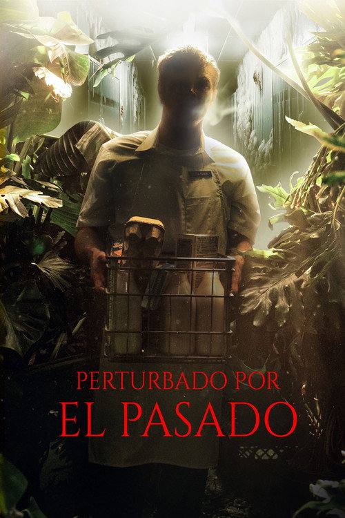 Póster de Perturbado por el pasado
