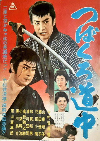 Póster de つばくろ道中