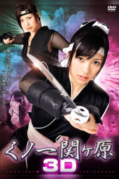 Póster de くノ一関ヶ原 3D