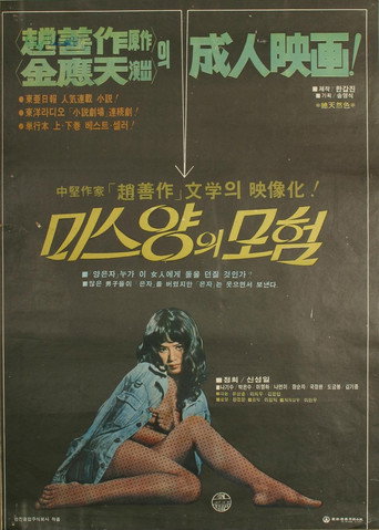 Póster de 미스양의 모험