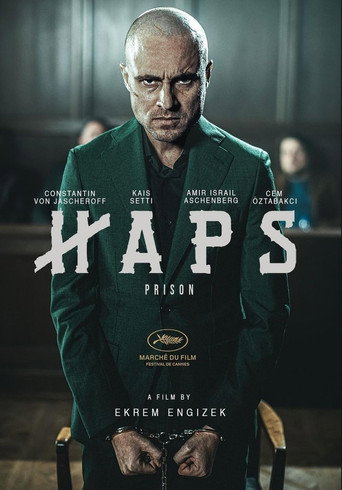 Póster de Haps